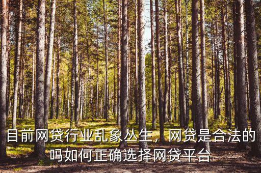 網貸平臺怎么投新聞,如何正確選擇網貸平臺