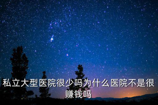 私立大型醫院很少嗎為什么醫院不是很賺錢嗎