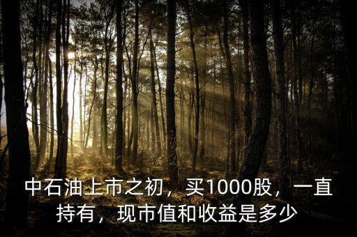 中石油上市之初，買1000股，一直持有，現市值和收益是多少
