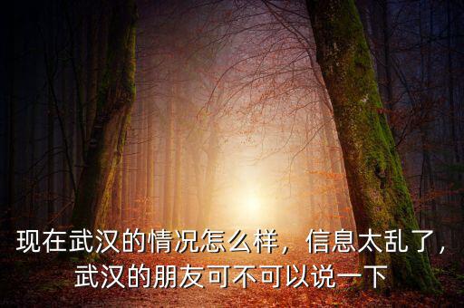 現在武漢的情況怎么樣，信息太亂了，武漢的朋友可不可以說一下