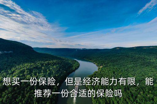 想買一份保險，但是經濟能力有限，能推薦一份合適的保險嗎