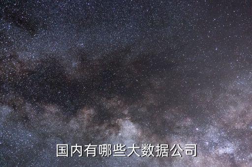 國內有哪些大數據公司