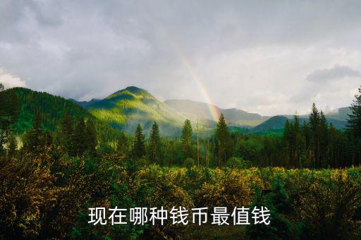 現在哪種錢幣最值錢