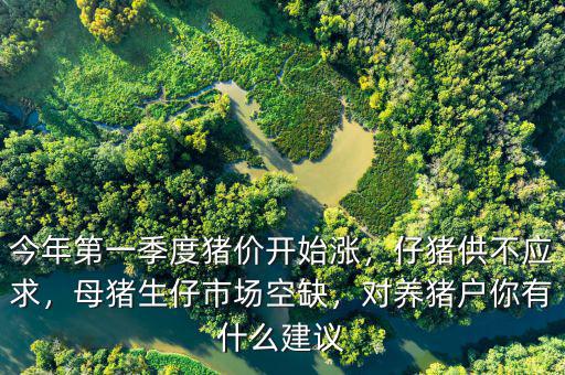 中國市場有什么空缺,對養豬戶你有什么建議
