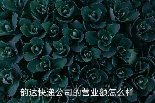 韻達快遞公司的營業額怎么樣