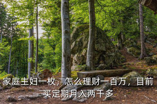 家庭主婦一枚，怎么理財一百萬，目前買定期月入兩千多