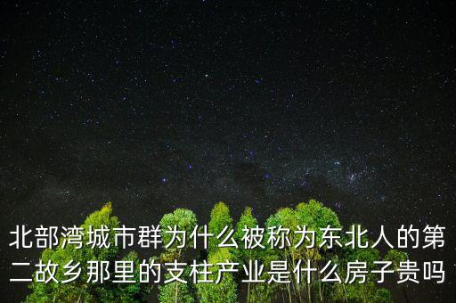 廣西支柱產業是什么,廣西北部灣的支柱產業是什么