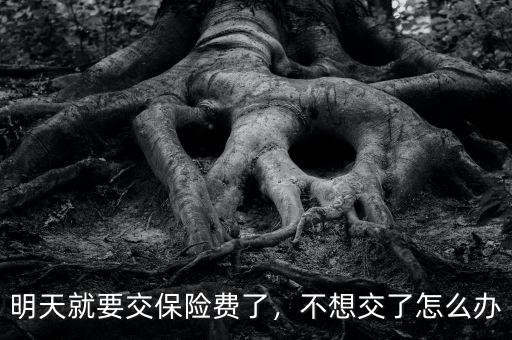家長不想交保險怎么辦,交有社保不想交新農合