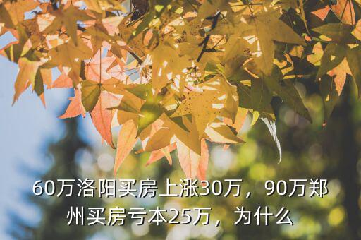 60萬洛陽買房上漲30萬，90萬鄭州買房虧本25萬，為什么