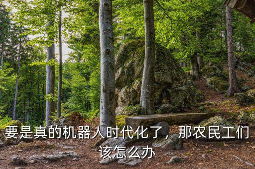 發展機器人農民工怎么辦,農民工該怎么辦