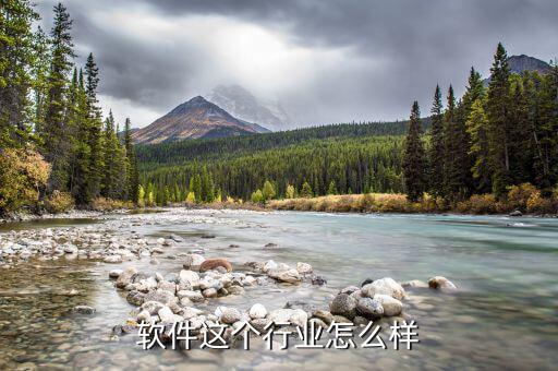 財博軟件怎么樣,軟件這個行業怎么樣