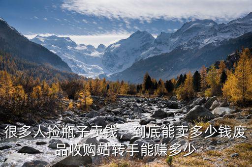 很多人撿瓶子賣錢，到底能賣多少錢廢品收購站轉手能賺多少