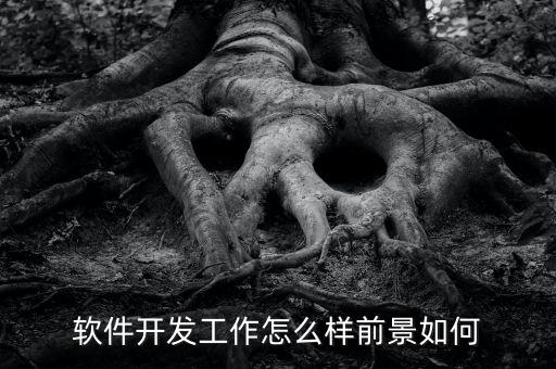軟件開發工作怎么樣前景如何