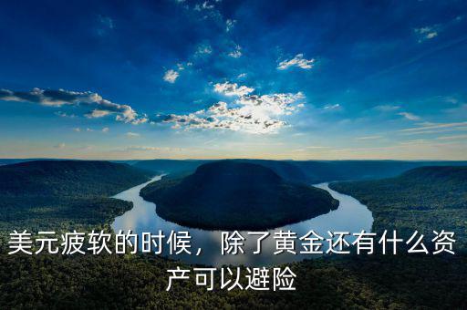 美元資產買什么,現在持有什么