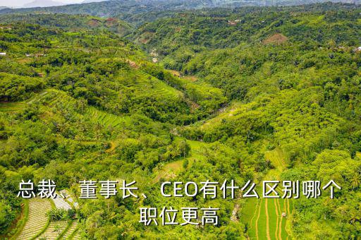 總裁、董事長、CEO有什么區別哪個職位更高