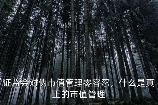 證監會管理什么,證監會對偽市值管理零容忍