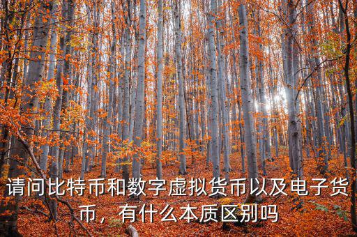 電子貨幣比特幣是什么,有什么本質區別嗎