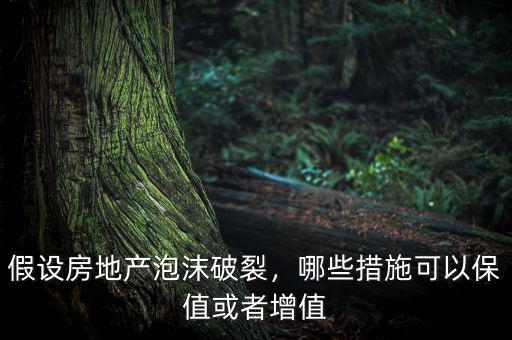 假設房地產泡沫破裂，哪些措施可以保值或者增值
