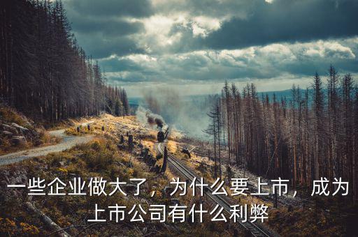 一些企業做大了，為什么要上市，成為上市公司有什么利弊