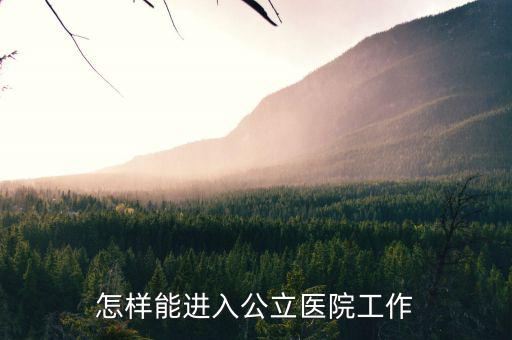 怎樣能進入公立醫院工作