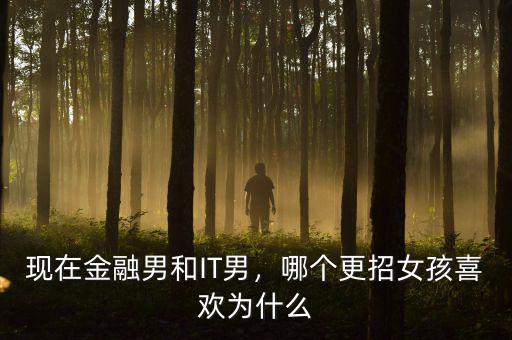 現(xiàn)在金融男和IT男，哪個更招女孩喜歡為什么