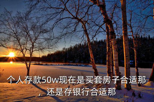 個人存款50w現在是買套房子合適那，還是存銀行合適那