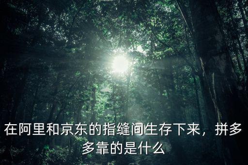 在阿里和京東的指縫間生存下來,拼多多靠的是什么