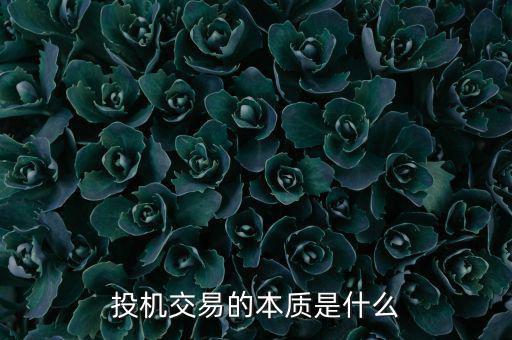 投機客是什么,股市里投資和投機如何區分
