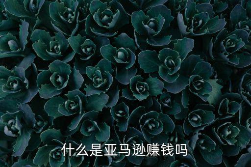 亞馬遜屬于什么行業,什么是亞馬遜