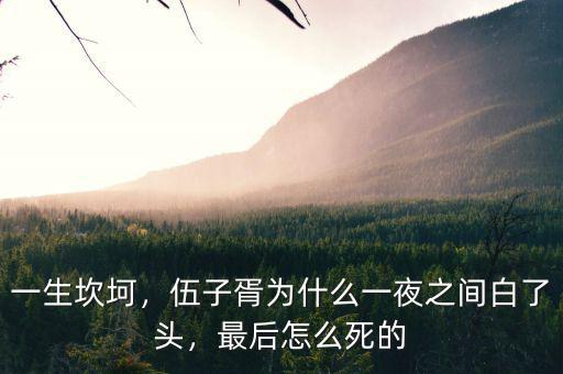 一生坎坷，伍子胥為什么一夜之間白了頭，最后怎么死的
