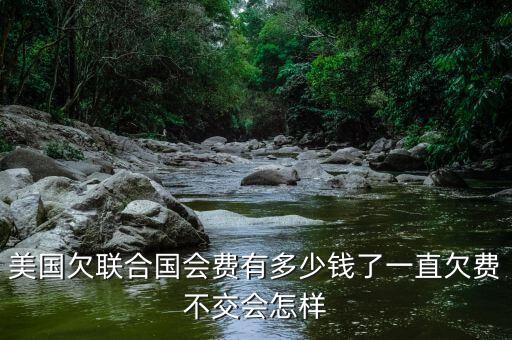 美國欠聯合國多少錢,美國欠聯合國會費有多少錢了