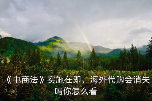 《電商法》實(shí)施在即，海外代購會(huì)消失嗎你怎么看