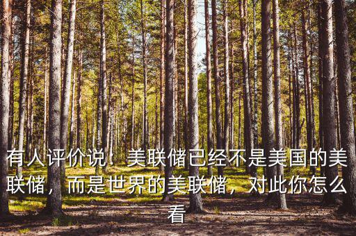 有人評價說：美聯儲已經不是美國的美聯儲，而是世界的美聯儲，對此你怎么看