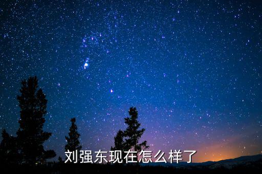 劉強東現在怎么樣了