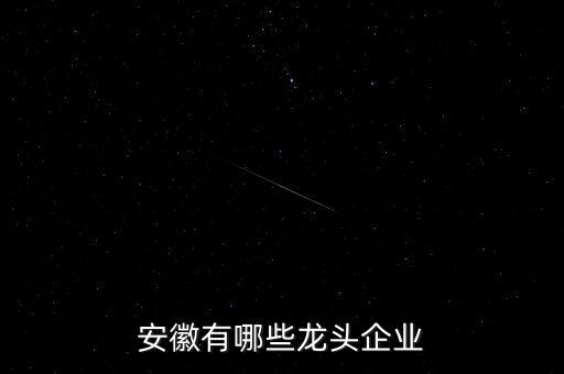 安徽有多少家上市公司,安徽有哪些龍頭企業