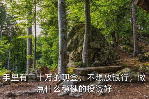 不存款在銀行投資什么好,做點什么穩健的投資好