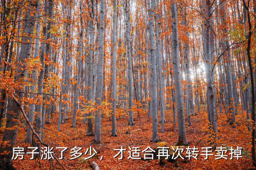 房子漲了多少，才適合再次轉手賣掉