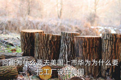 阿里巴巴為什么要在紐約上市,阿里巴巴已經在美國上市