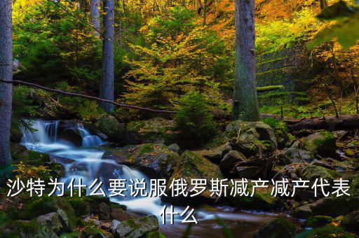 沙特為什么不減產,為何沙特堅持不減產