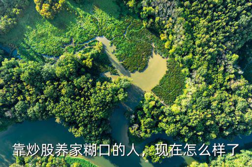 靠炒股養家糊口的人，現在怎么樣了