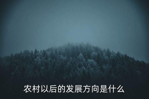 農村以后的發展方向是什么