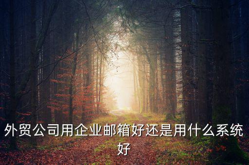 外貿公司用企業郵箱好還是用什么系統好