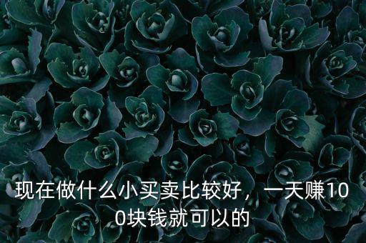 現在轉型期做什么小買賣好,現在做什么小買賣比較好