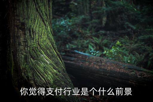 支付行業是什么,做支付行業是指哪些支付