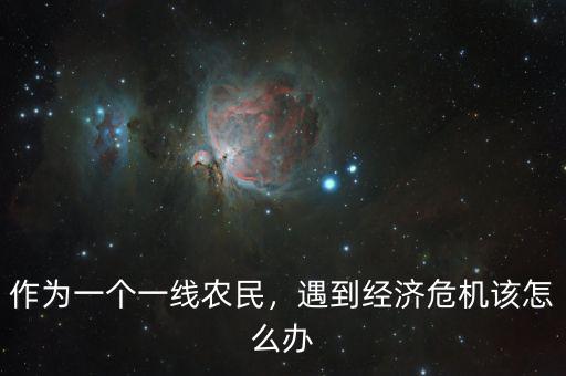 作為一個一線農民，遇到經濟危機該怎么辦