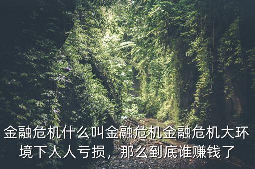 金融危機什么叫金融危機金融危機大環境下人人虧損，那么到底誰賺錢了