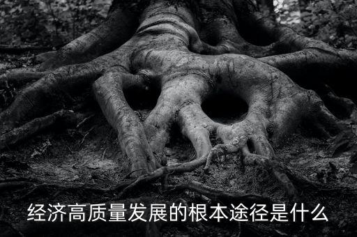 中國崛起經濟發展方式是什么,廣東經濟是怎么發展起來的