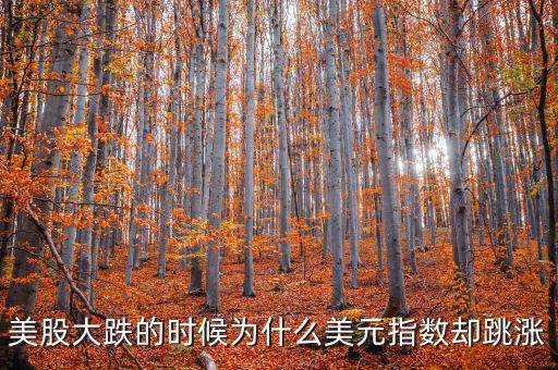 美股大跌的時候為什么美元指數卻跳漲