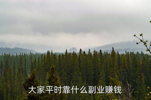 靠什么賺錢,大家平時靠什么副業賺錢