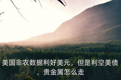 美國(guó)非農(nóng)數(shù)據(jù)利好美元，但是利空美債，貴金屬怎么走